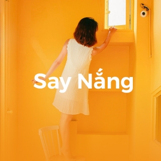Say Nắng - Various Artists