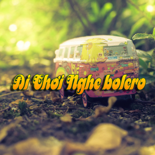 Đi Chơi Nghe Bolero - Various Artists