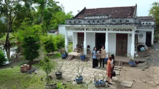 Bỏ Quê - Lê Như, Cẩm Tiên