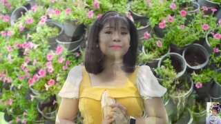 Ngày Không Anh (Tân Cổ) - Cao Mỹ Châu