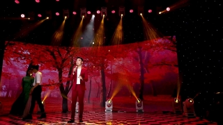 Đắp Mộ Cuộc Tình - Trường Sang