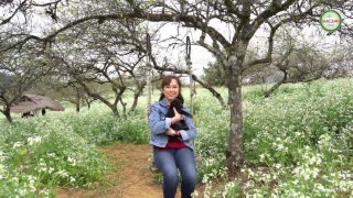 Mèo Mua Ở Đâu - Victoria Nguyễn