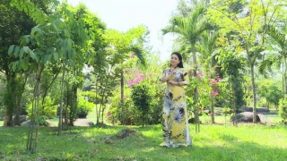 Bông Bưởi Hoa Cau - Đông Đào