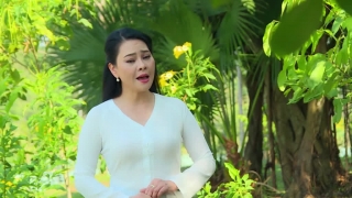 Bông Bí Vàng - Đông Đào