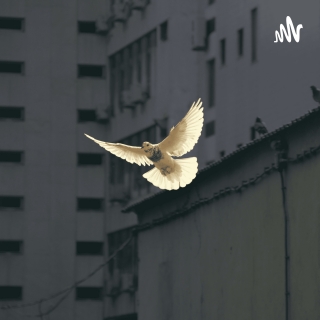 CÁI TẾT CỦA MÈO CON - NGUYỄN ĐÌNH THI