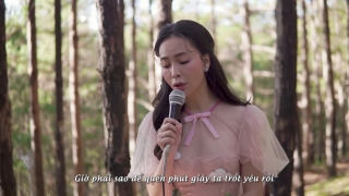 Hoài Một Đời Chờ Đợi - Trần Mỹ Ngọc