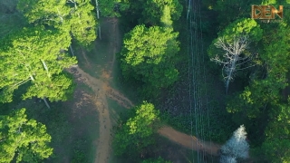 Đồi Thông Hai Mộ - Lê Tuấn