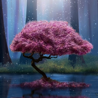 Relaxing Piano Music