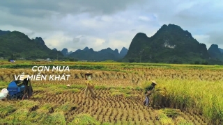 Hồi Sinh (English Version) - Kyo York