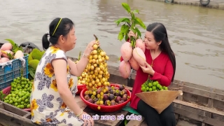 Miền Tây Thương Nhớ - Dương Hồng Loan