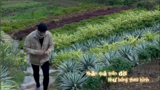 Phạm Âm - Lưu Minh Tuấn