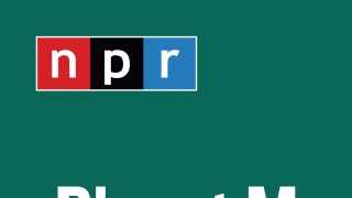 Vì Một Người - Quang Vinh, Yến Trang