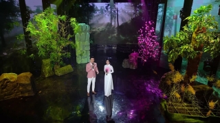 Ngày Xuân Thăm Nhau - Phương Anh Bolero, Huỳnh Thật