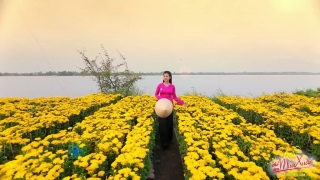 Anh Cho Em Mùa Xuân - Dương Hồng Loan