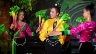 Điệu Xòe Thương Nhau - Vy Oanh
