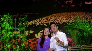 Ngày Xuân Tái Ngộ - Vy Oanh, Nguyễn Phi Hùng