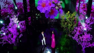 Tím Buồn Bằng Lăng - Lưu Ánh Loan, Thanh Vinh