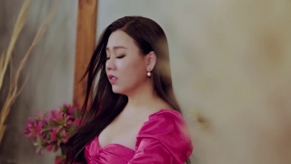 Bờ Vai Anh - Lưu Ánh Loan