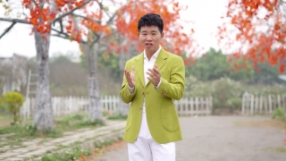 Em Đã Thấy Mùa Xuân Chưa - Việt Tú