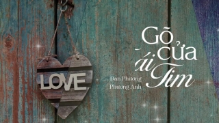 Gõ Của Trái Tim (Lyric) - Đan Phương, Phương Anh Bolero