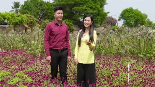 Chuyến Xe Duyên Nợ - Lê Như, Hoàng Sơn Giang