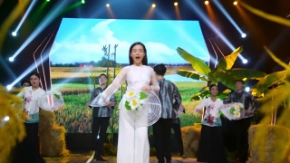 Thương Áo Bà Ba - Quỳnh Trang