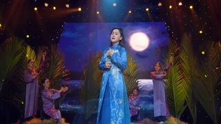 Điệu Buồn Phương Nam (Tân Cổ) - Lê Như