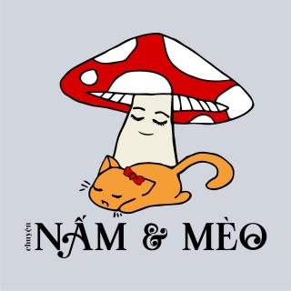 Làm thế nào để có được điều mình muốn?