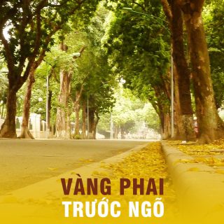 Vàng Phai Trước Ngõ (Tuyển Tập Nhạc Trịnh) - Various Artists