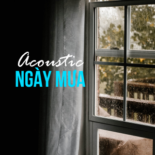 Acoustic Ngày Mưa - Various Artists