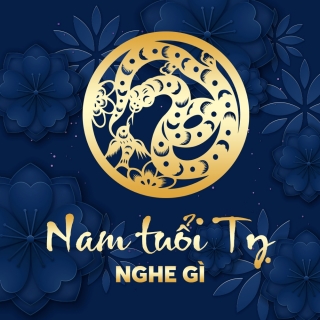 Nam Tuổi Tỵ Nghe Gì? - Various Artists