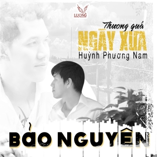 Bảo Nguyên