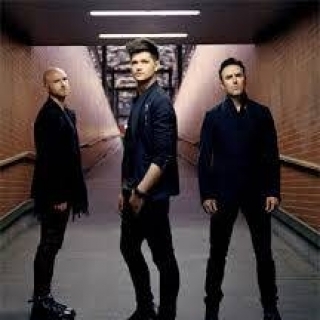 The Script