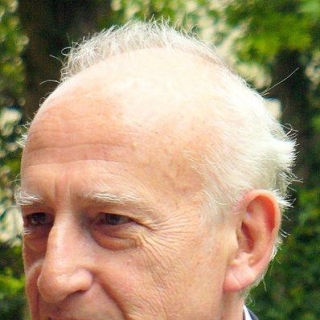 Pollini