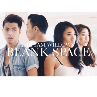 The Sam Willows