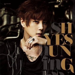 Shin Hye Sung