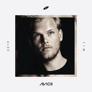 Avicii,Bonn