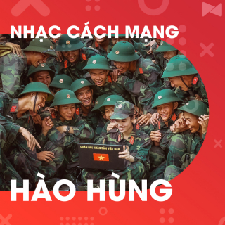 Những Bài Hát Nhạc Cách Mạng Không Lời Hào Hùng - Various Artists