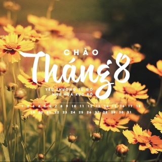 Chào Tháng 8 - Various Artists