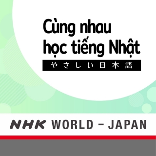 Bài 34: Nói đã từng làm việc gì.