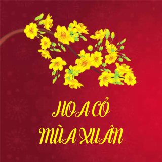 Những Bài Hát Về Hoa Cỏ Mùa Xuân - Various Artists