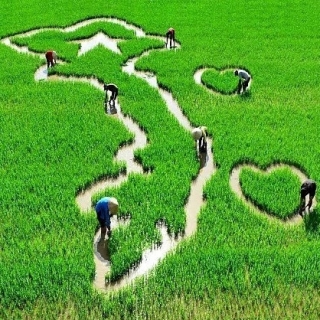 Những Bài Hát Trẻ Hay Nhất Về Tình Yêu Việt Nam - Various Artists