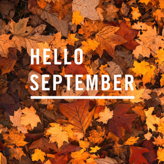 Chào Tháng 9 - Various Artists