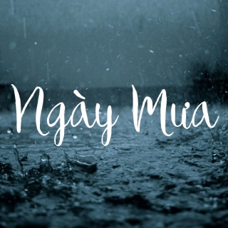 Những Bài Hát Cho Ngày Mưa - Various Artists
