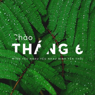 Chào Tháng 6 - Various Artists
