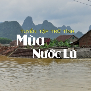 Mùa Nước Lũ (Tuyển Tập Trữ Tình) - Various Artists