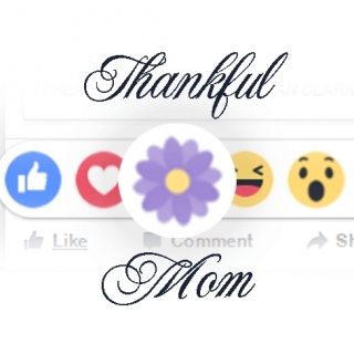 Những Bài Hát Thay Lời Cảm Ơn Mẹ - Various Artists