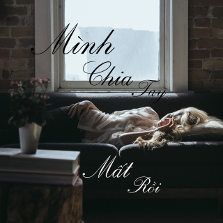 Mình Chia Tay Mất Rồi - Various Artists
