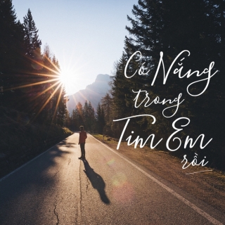 Có Nắng Trong Tim Em Rồi - Various Artists