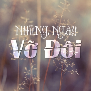 Những Ngày Vỡ Đôi - Various Artists